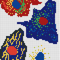 cells