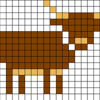 Highland Cow