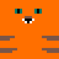 Cat pattern