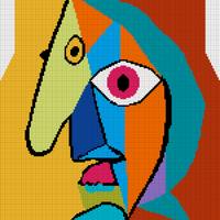 Picasso.Front