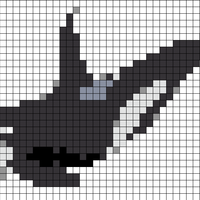 Orca