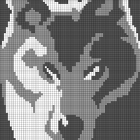 wolf rounded revised