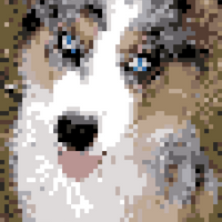 E2043035-979F-402E-A3FD-3796B1C3E412.jpeg
