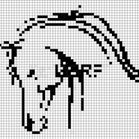 arabian head.jpeg