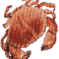 Crab KF Square
