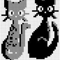 kitty