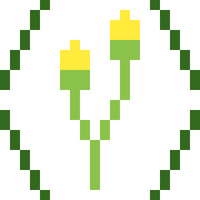 Yellow Buds