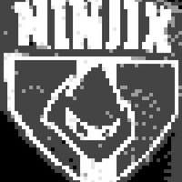Ninjix.jpeg