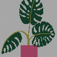 monstera ed.jpg