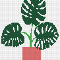 monstera ed.jpg