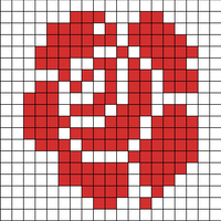 rose