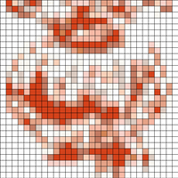 IMP 11 colours