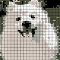 89D37652-9E7E-44AD-B784-40C93C6668E7.jpeg