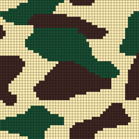 CAMO 100