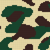 CAMO 100 (2)