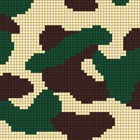 CAMO 100 (4)