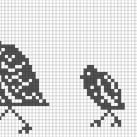 Copy of quail