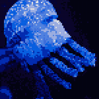 jellyfish.jpg