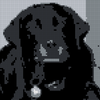 14CC45E5-7D94-4FBD-8D2E-7406C144756C.png