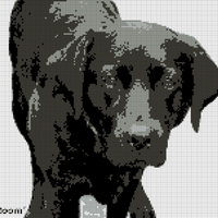 BCA20021-2DF6-407D-87BB-0BE0F42CE9D0.png