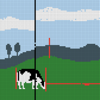 cow