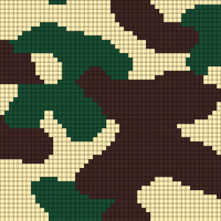 CAMO 100 (3)