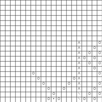 Copy of lace