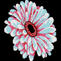 Aqua Gerbera