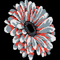 No Pink Gerbera