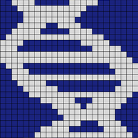 Blue and Silver 24x50 DNA