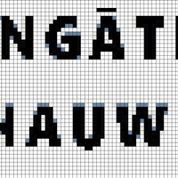 Ngati Pahauwera