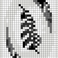 54418156-3423-45DF-BEB4-7FF6404432E3.jpeg