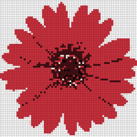 osteospermum_bright_lights_red_macro_02_0.jpg