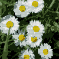 d654dee0a01370c8ef8283383d3caee9.jpg
