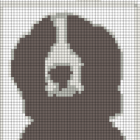 D06ECA3D-080E-4241-B988-8F8794E00897.jpeg