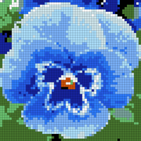 Pansy Doily 