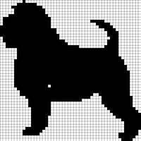 Affenpinscher_1.png