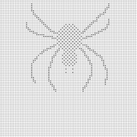 spider