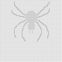 Copy of spider