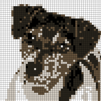 1496411_10202536487835165_1146359967_o.jpg