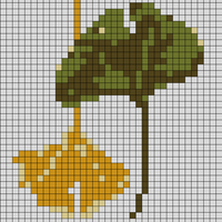 ginko leaves