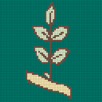 compound leaf.png