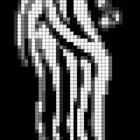 images (13).jpeg