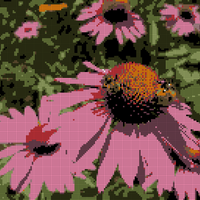 0A1197C0-CF94-4D59-9456-95476333E4F8.jpeg