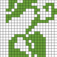Heart ivy