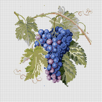 Grape
