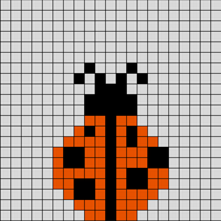ladybug
