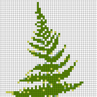 fernfern.png