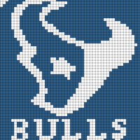 Copy of SB Bulls Logo Star Eye Light Blue