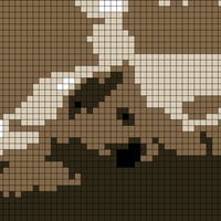 EF3CF69F-41FA-4357-B7FF-F1AAAA127582.jpeg